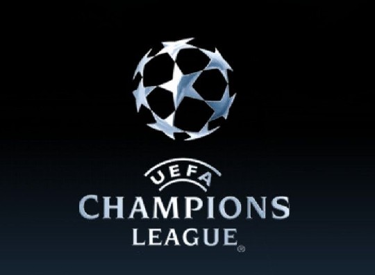 有着顽强的 有着顽强的